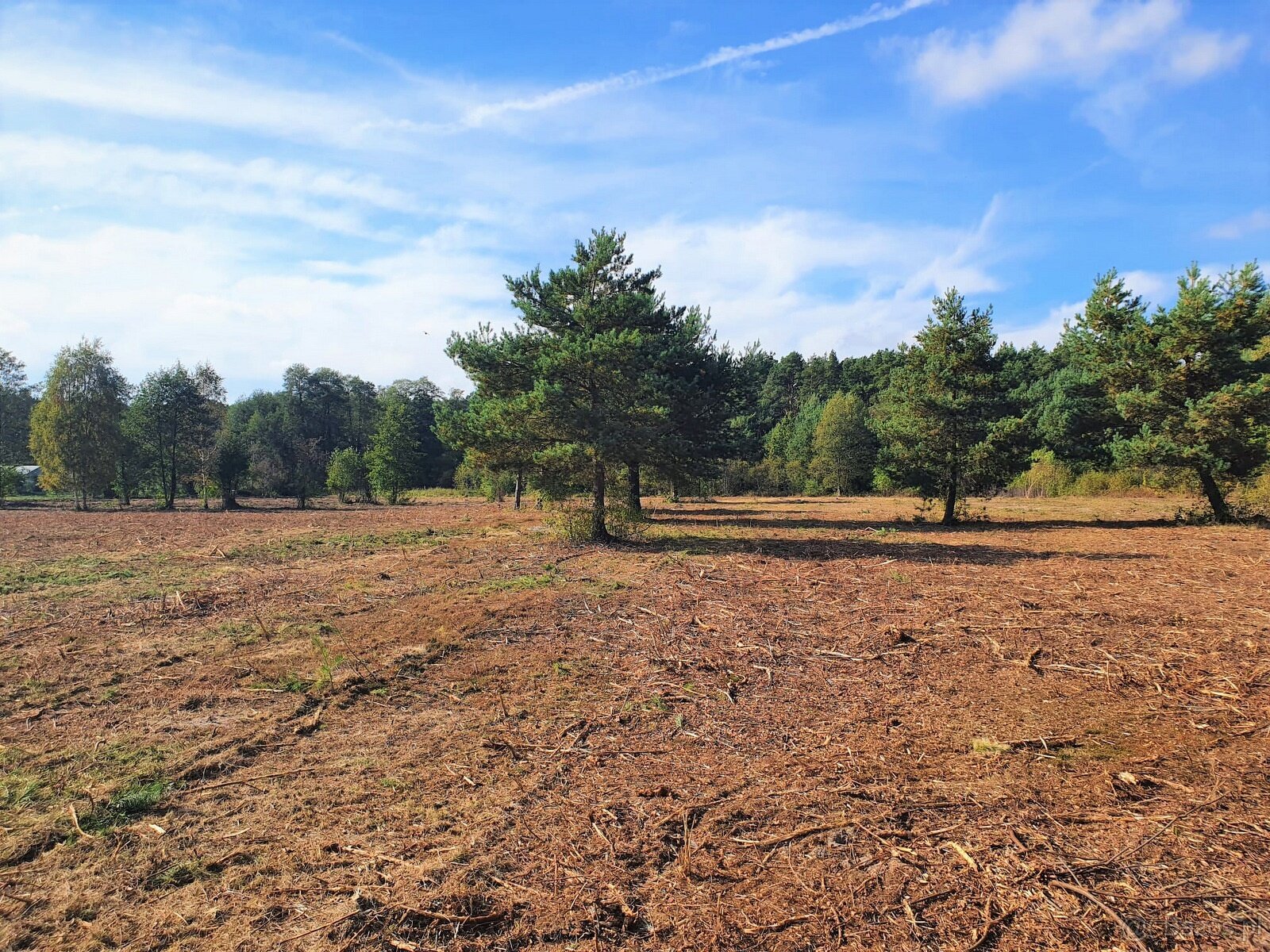 Działka Rolno-Rekreacyjna 3000m2 przy Puszczy Bolimowskiej - 3