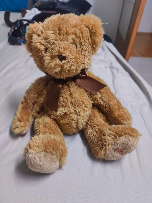 Niedźwiedź Hamleya - 3