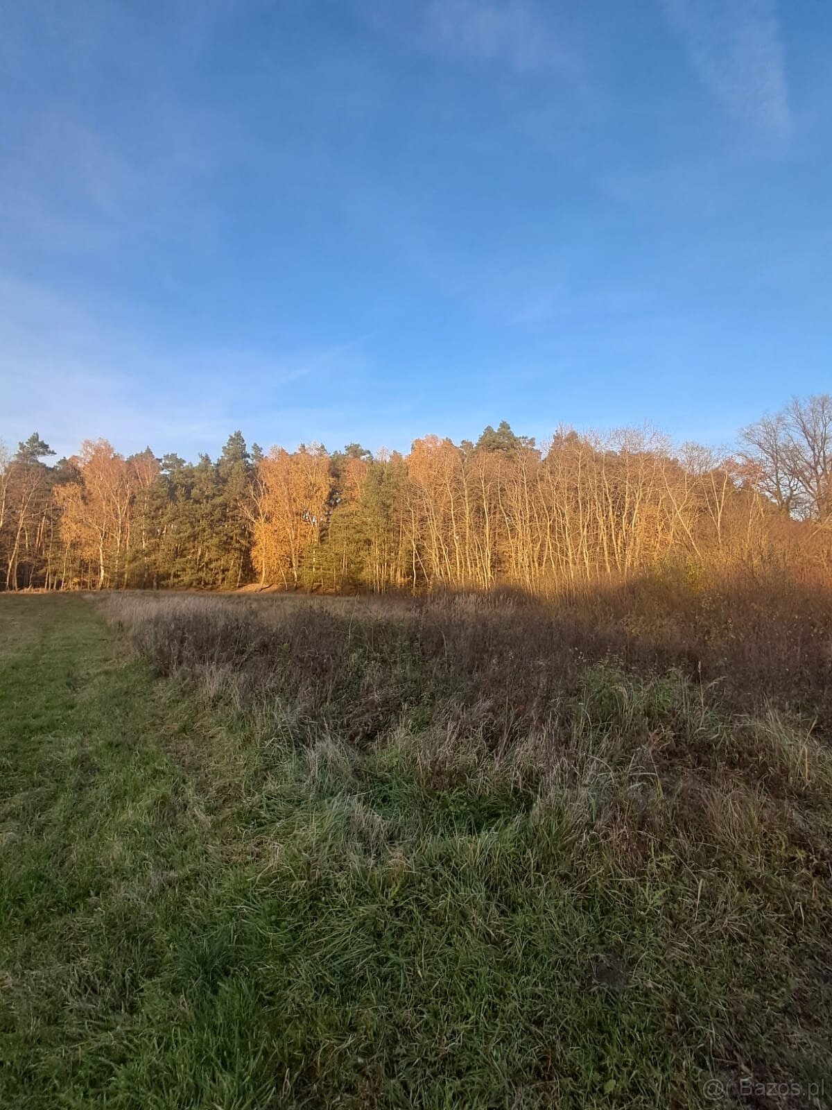 Działka budowlana z warunkami o pow. 1400m2, Dzierzbin - 3
