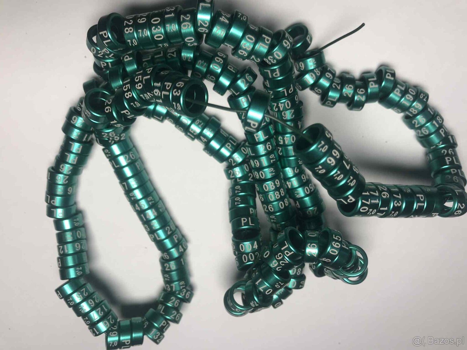 Obrączki na rok 2026 kolor zielony - 3