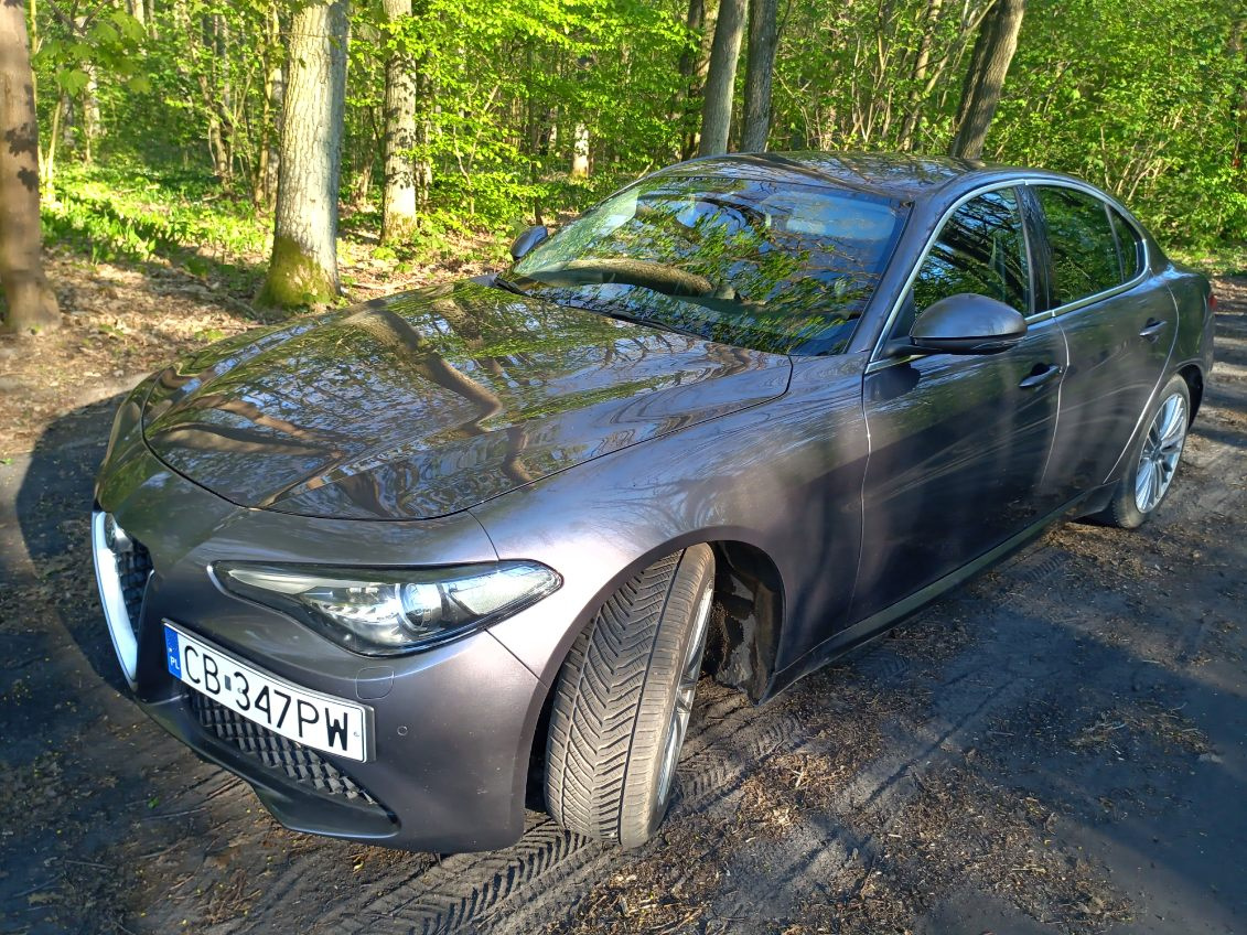 Alfa Romeo Giulia 2.2d - 3