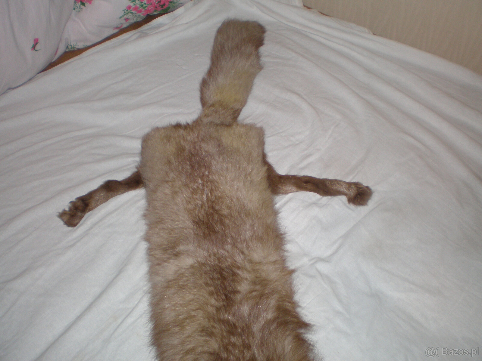 Sprzedam kołnierz z lisa,używany, stan bardzo dobry. - 3