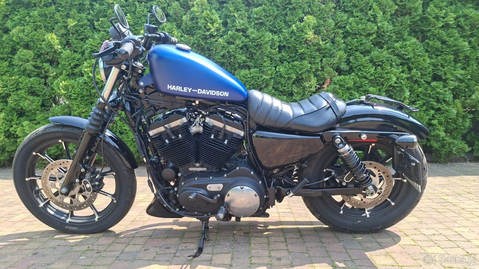 Sportster IRON Harley Davidson - 3