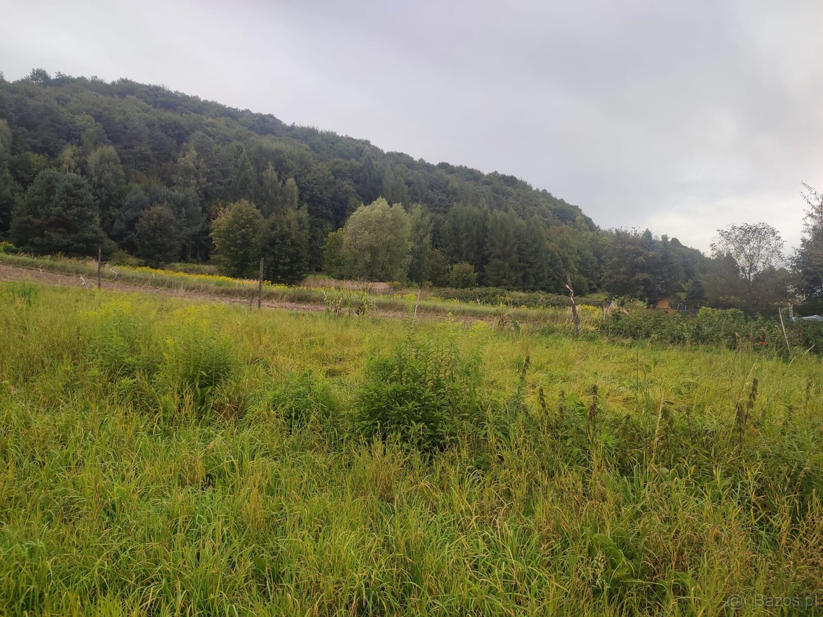 Atrakcyjne działki powiat krakowski - 3