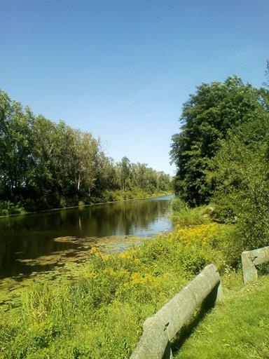 Białołęka 1000m2 ul.Białołęcka - działka budowlana - 3