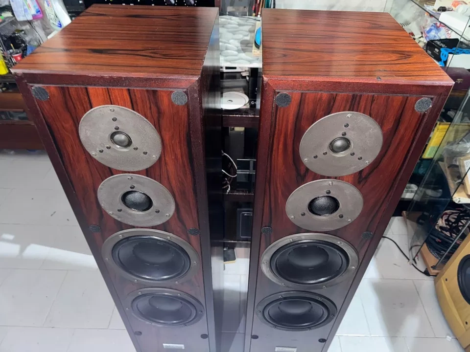 DYNAUDIO CONTOUR IV ( Price : 1600 EUR ) - 3