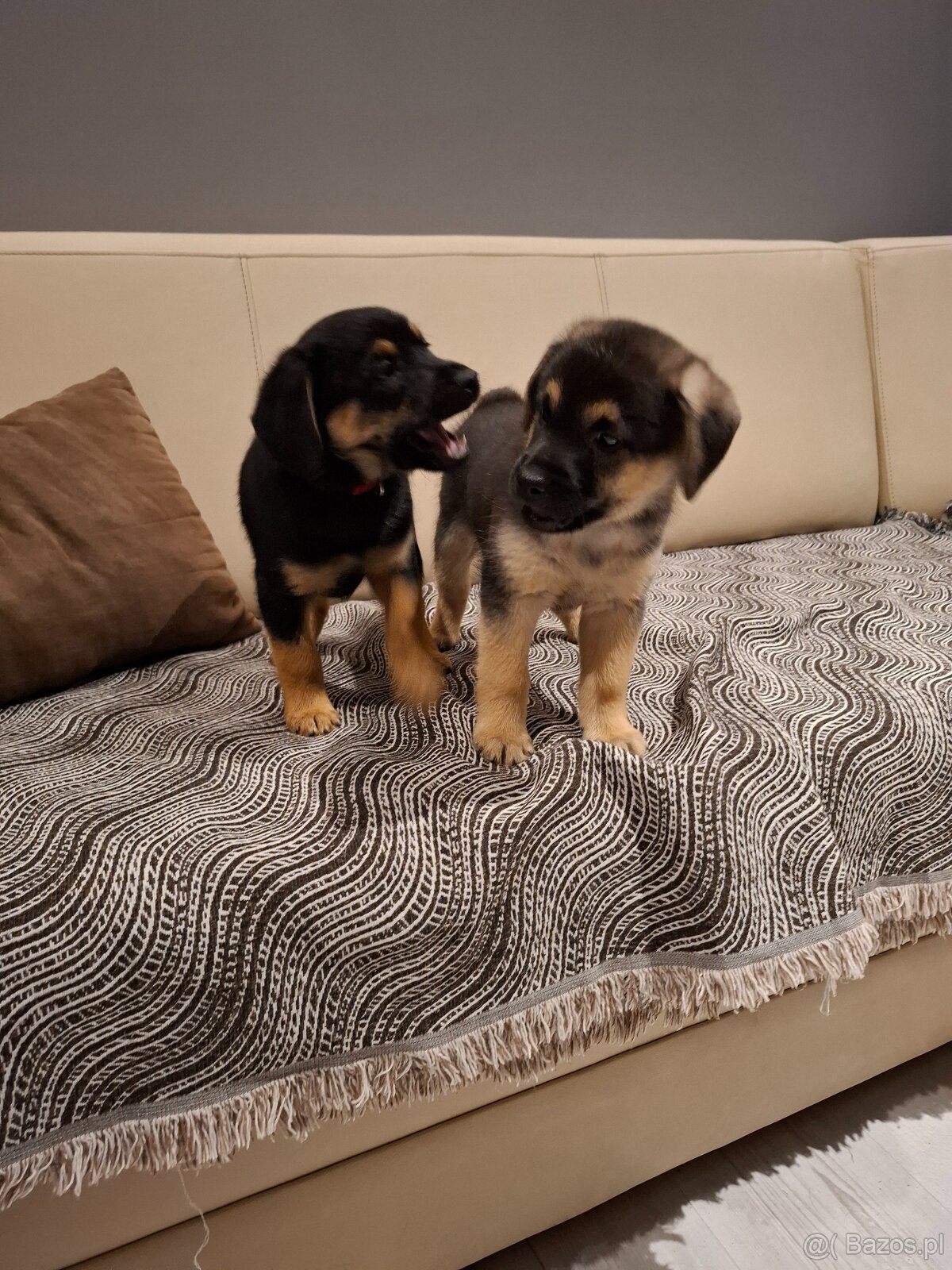 Oddam w dobre ręce - 3