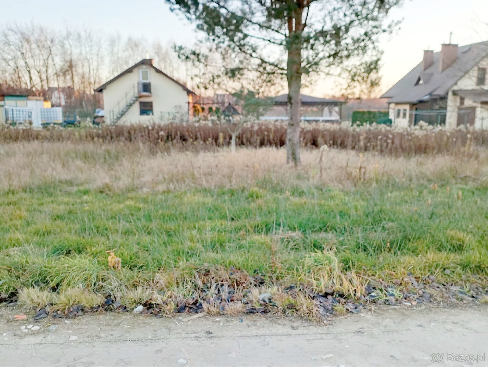 Działka Budowlana w Pogórskiej Woli - 3