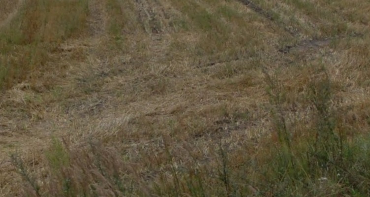 Działka budowlana o powierzchni 3261m2, Stobno - 3