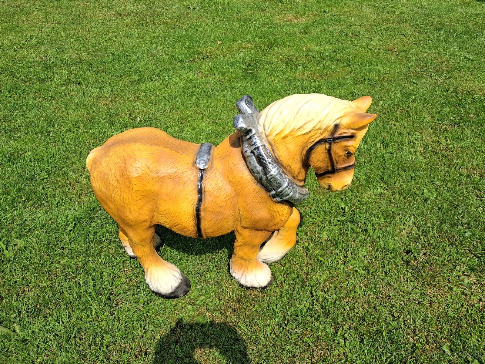 Sprzedam konika ogrodowego - 3