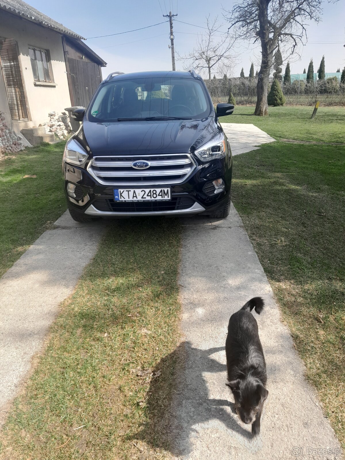 Super Kuga niski przebieg wysokie wyposażenie - 3