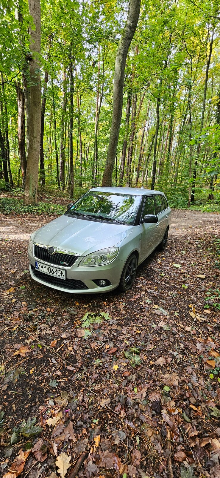 Skoda fabia rs - 3