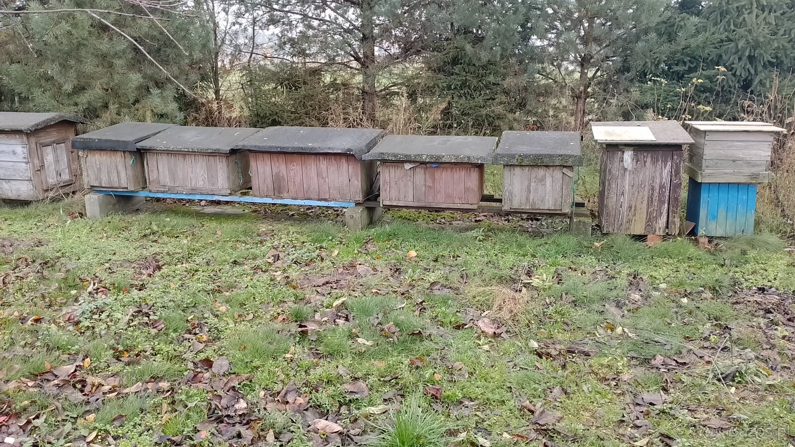 Domki dla pszczół - 3