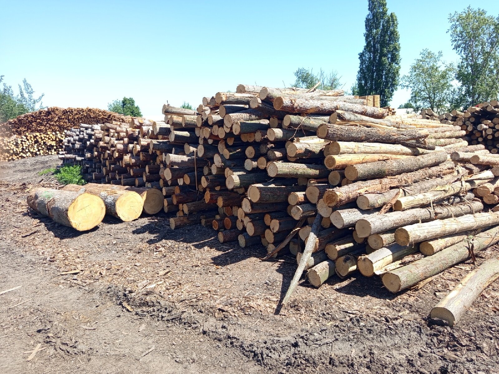 🌲 Drewno opałowe - miękkie ✅ - 3