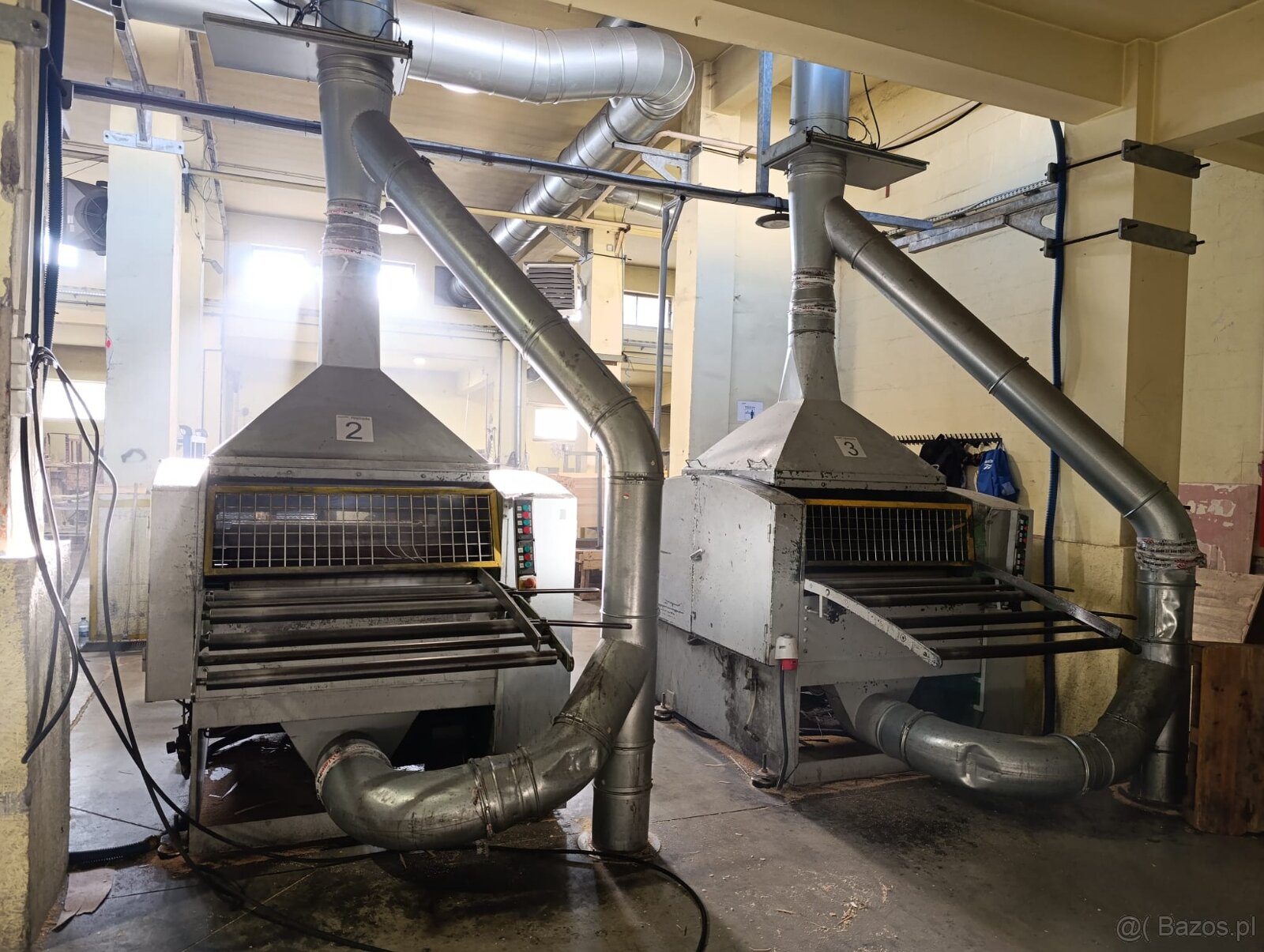 Wielopiła dwurzędowa - 3