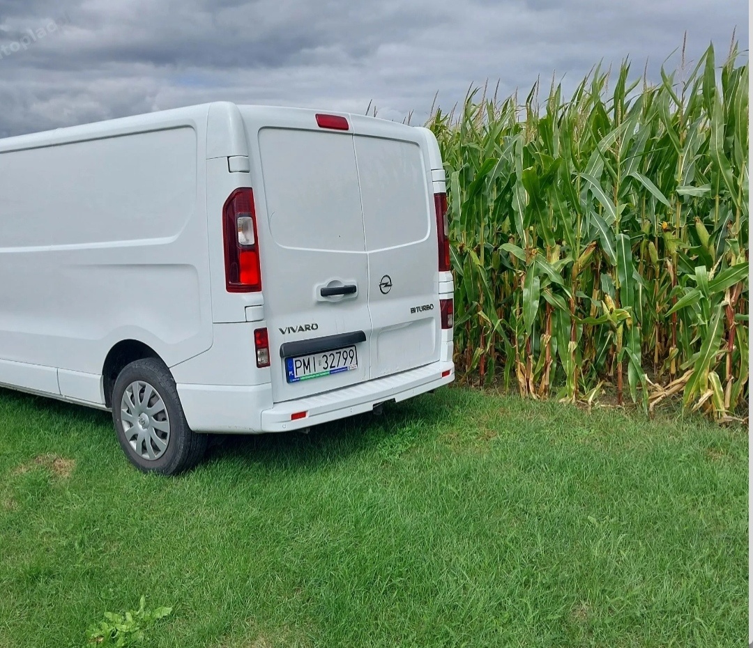 OPEL VIVARO 1.6 DIESEL / BI TURBO / 6 BIEGÓW / LONG - 3