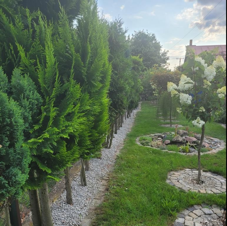 Działka rekreacyjna - 3