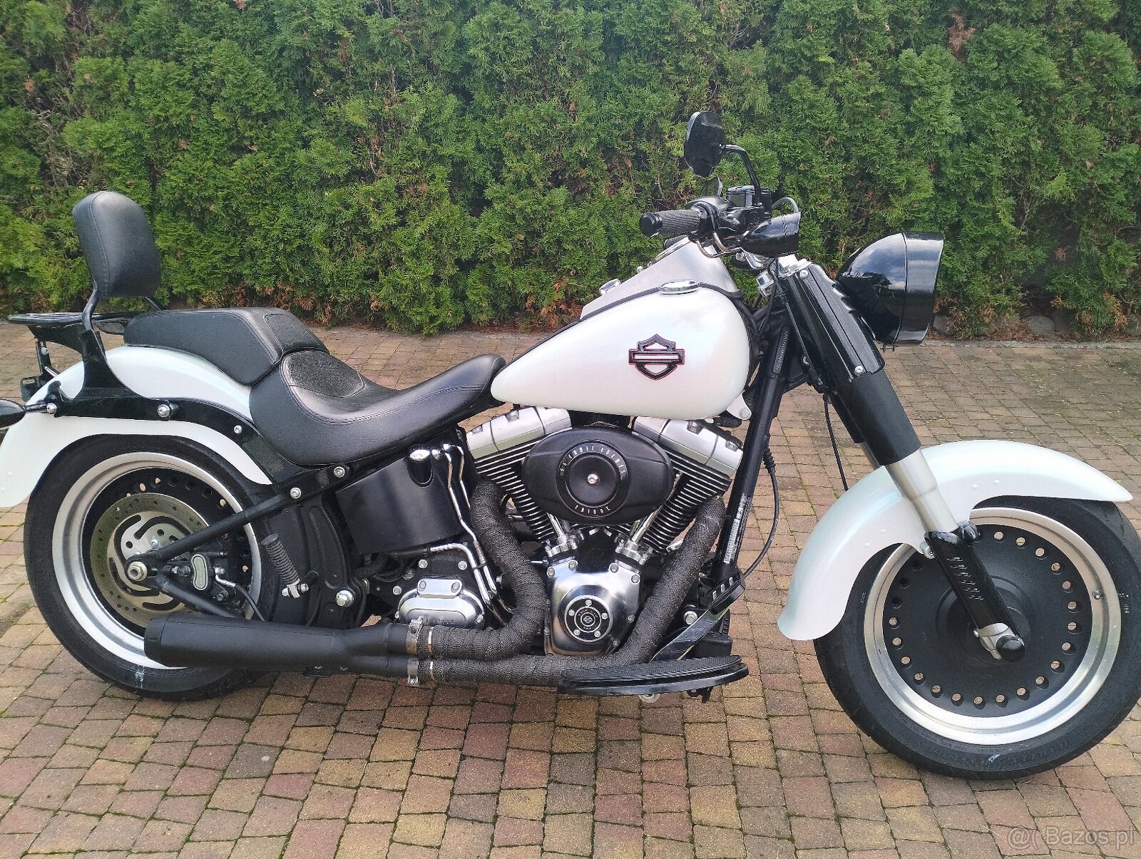 FAT Bob - 3