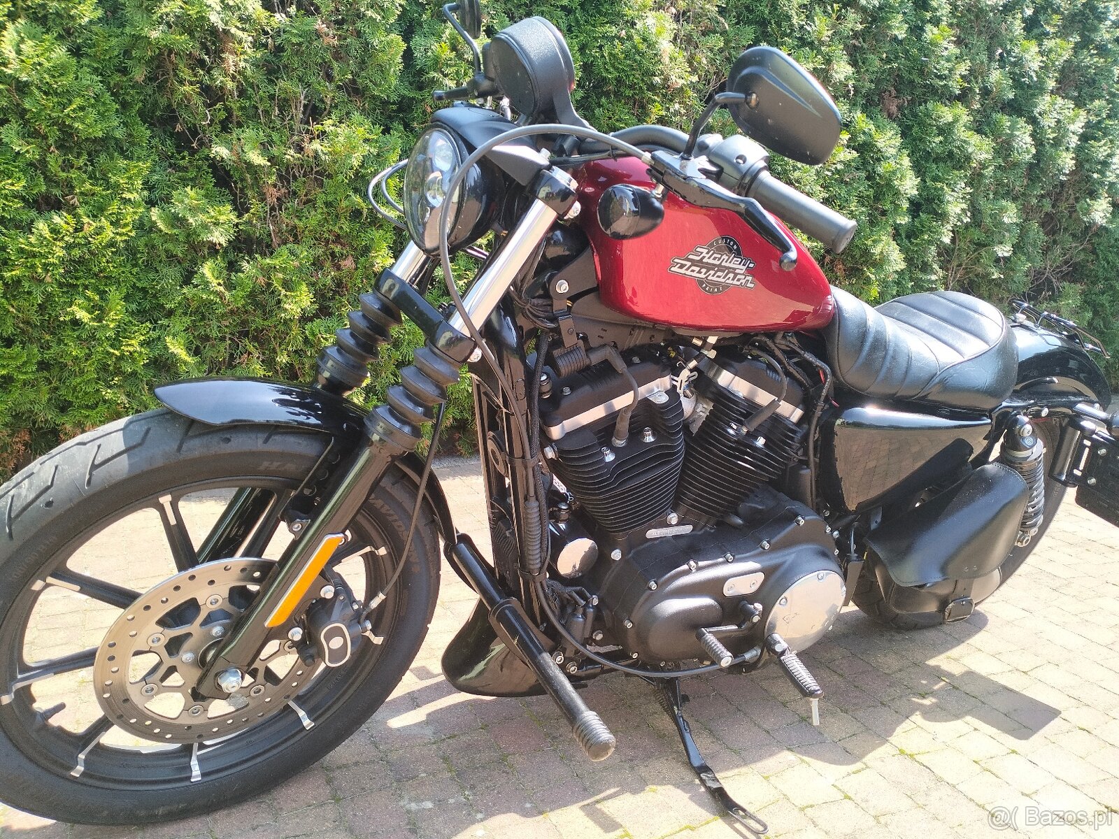 Sportster IRON Harley Davidson - 3