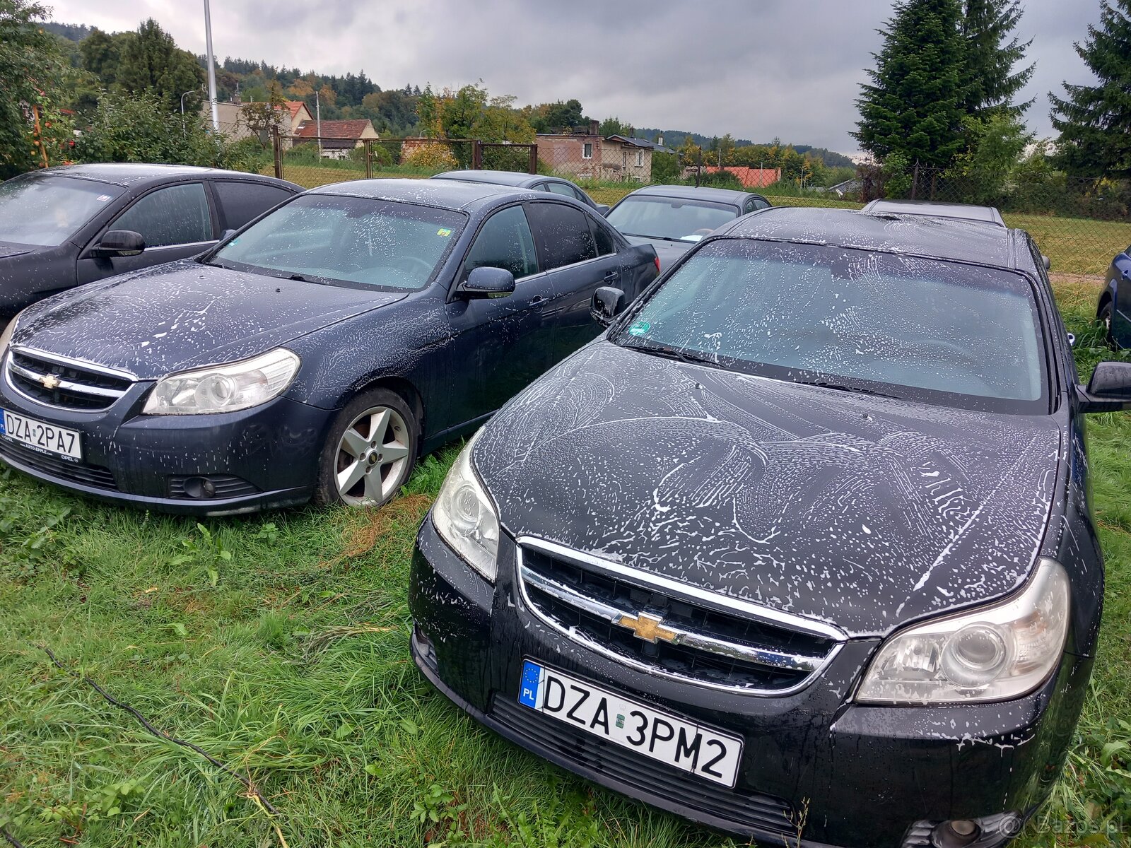 Chevrolet Epica limuzyna 2.0TD 2008r - 3
