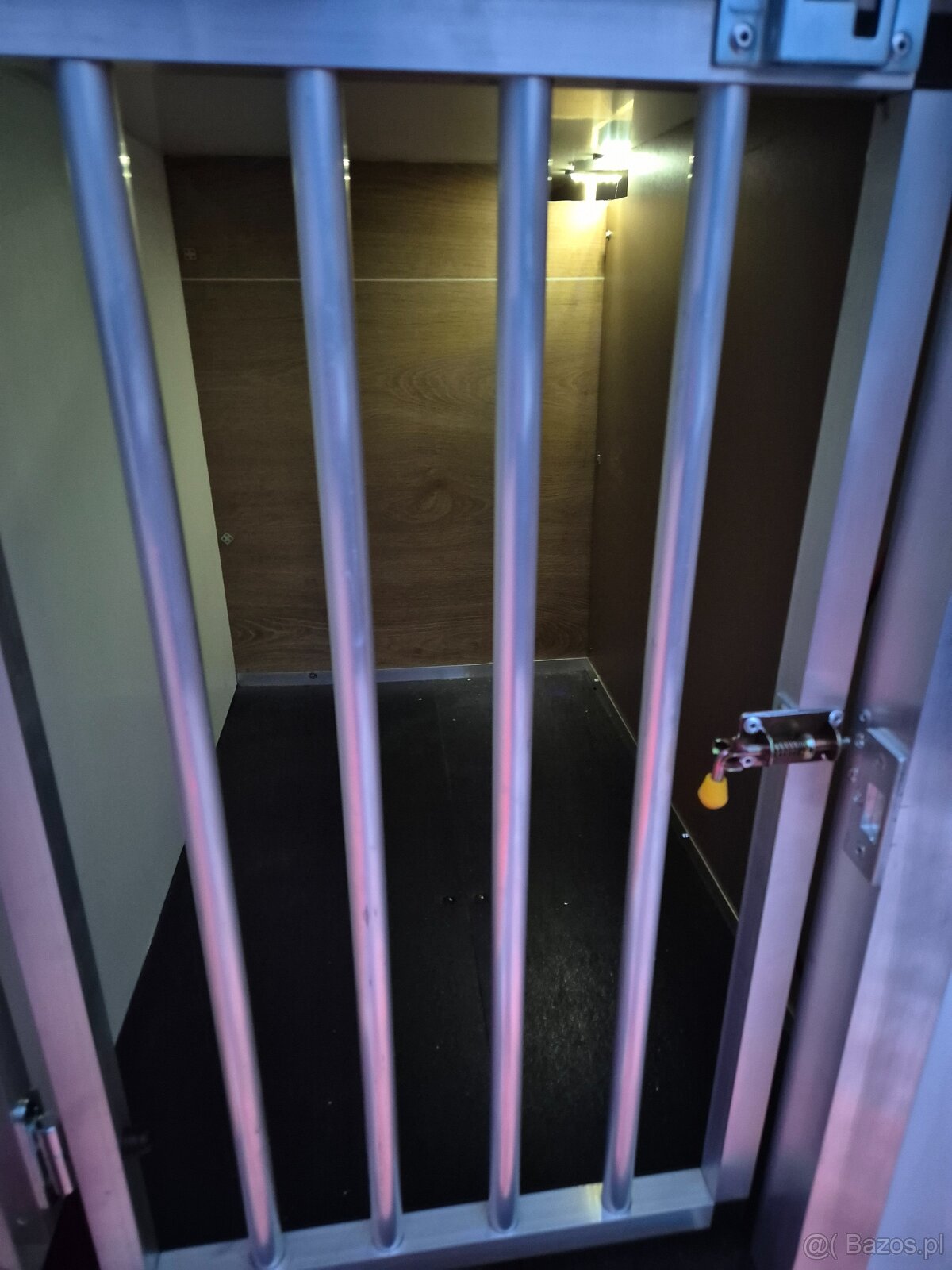 Przyczepka do przewozu psów - 3