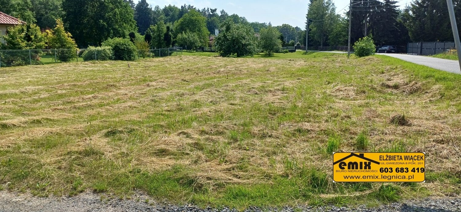 Działka budowlana w Jerzmanowicach k. Chojnowa - 3