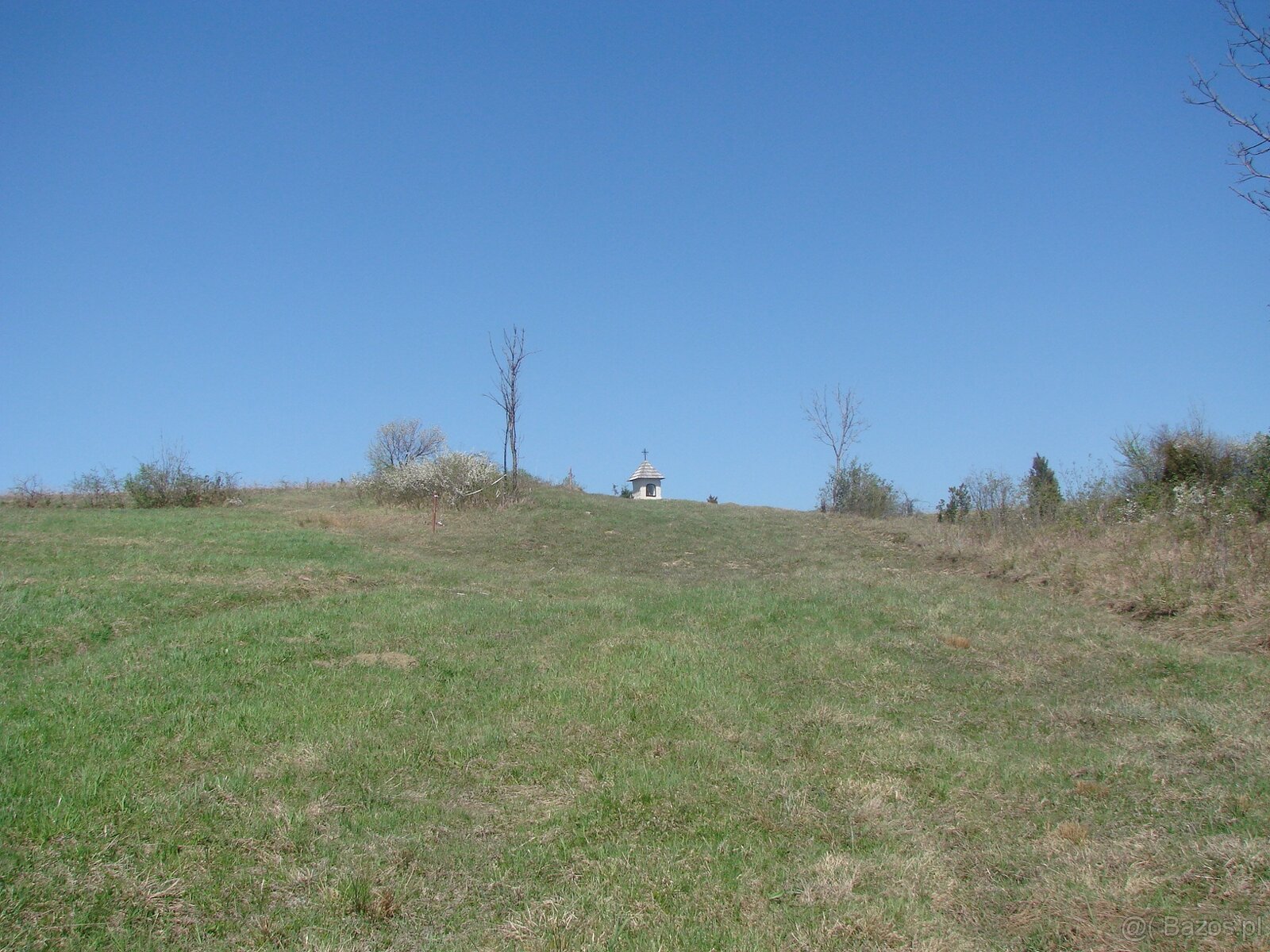 rewelacyjna działka rolna o powierzchni 1,48 ha Posada Jaśli - 3