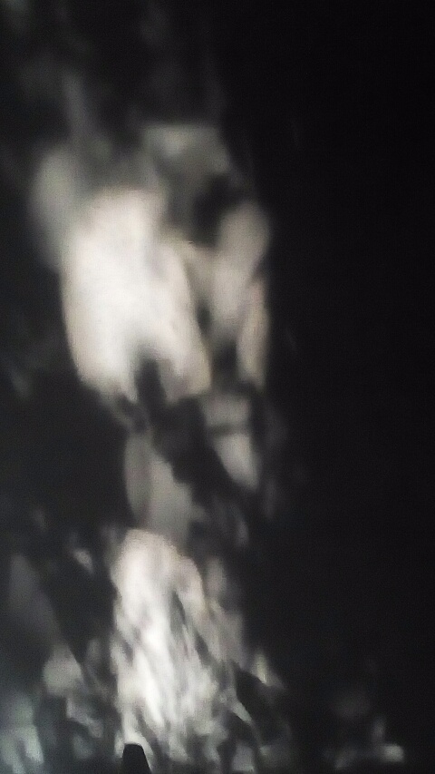 Obraz foto - 3