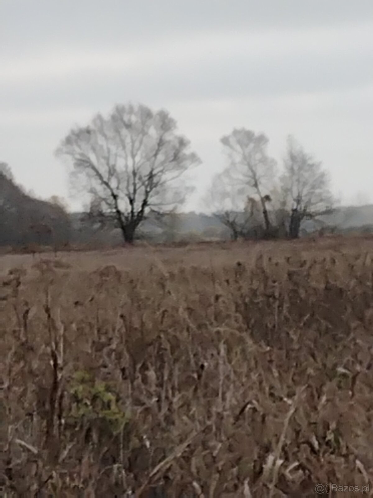 Sprzedaz dzialki - 3