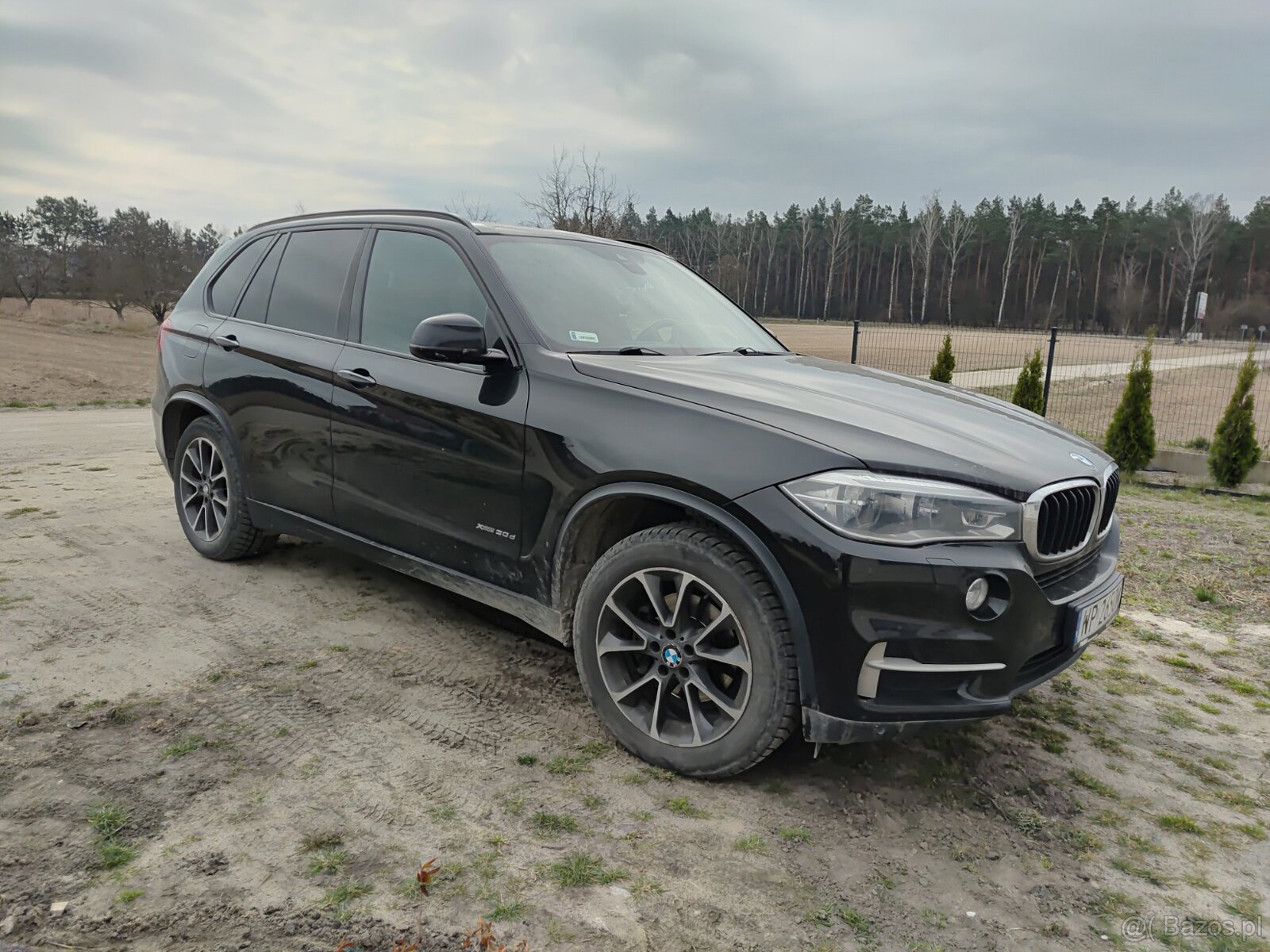 BMW X5 Diesel MR`14 E6 F15 xDrive30d Step - 3