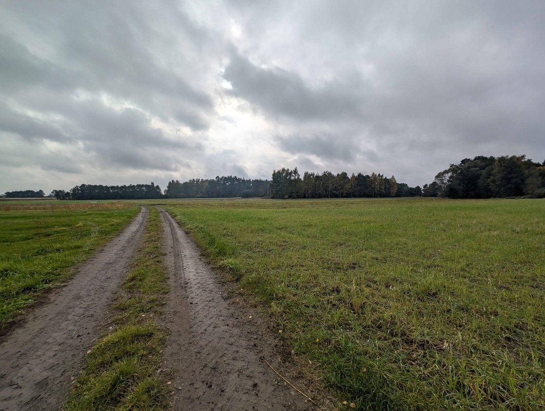 Działki rolne o pow. 1700m², 2581m2, 3088m², Strzałków - 3