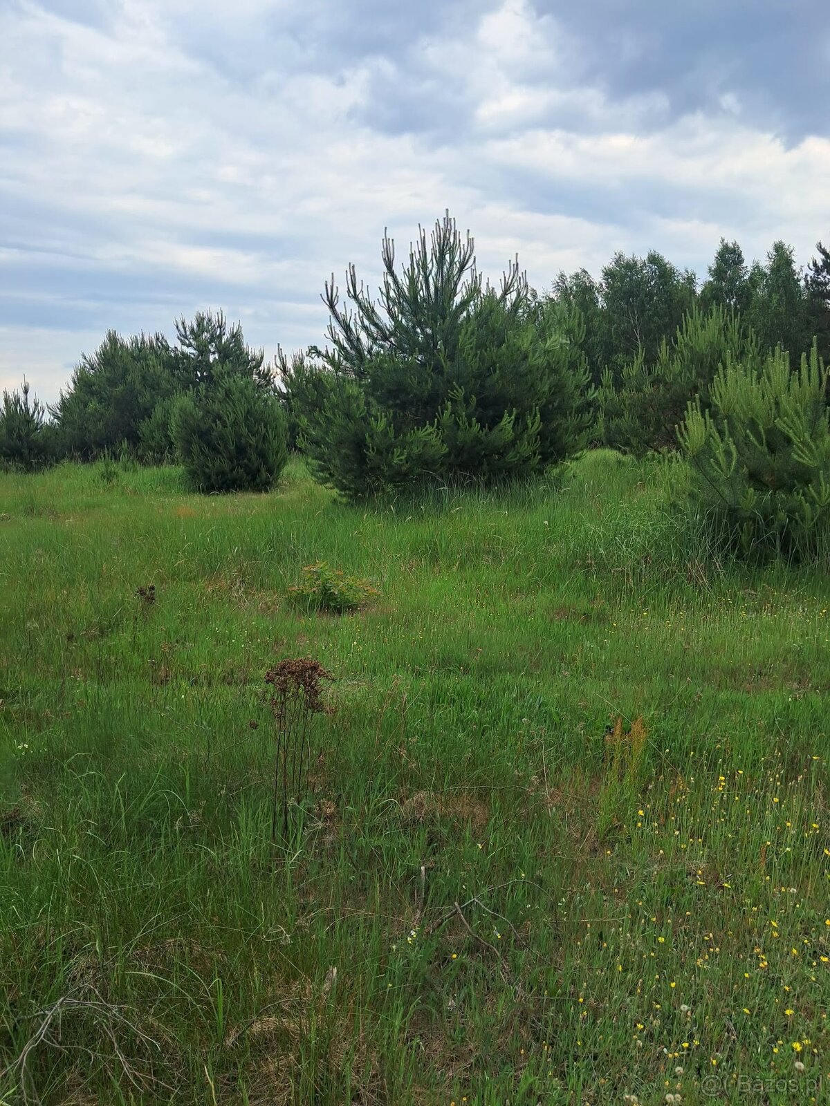 Działki budowlane w Planie ogólnym, 1040m2, Młynisko - 3
