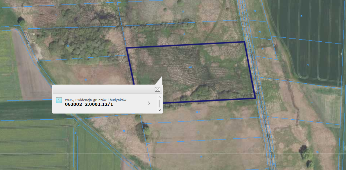 Sprzedam DZIAŁKI ROLNE (ŁĄKI), Cieszyn, zamojskie - 3