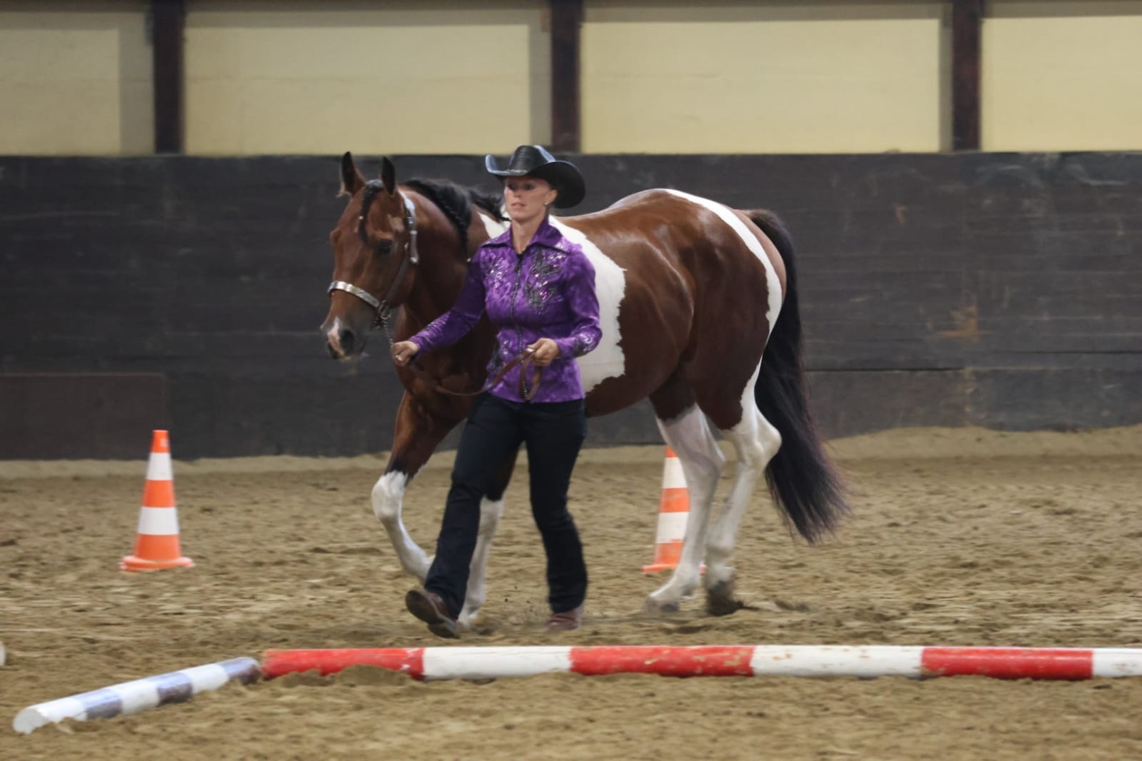 APH gelding bay tobiano - 3
