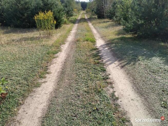 Działka 1050m gm. Aleksandrów Łódzki - Ciężków - 3