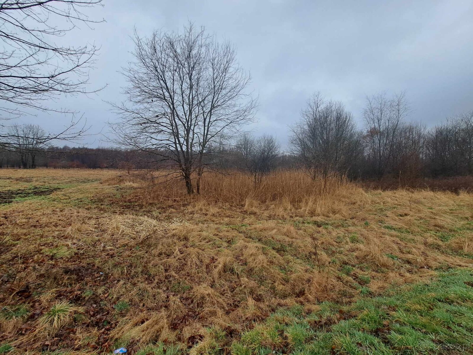 Przyborów gm. Borzęcin działka budowlano-rolna 33 ar - 3