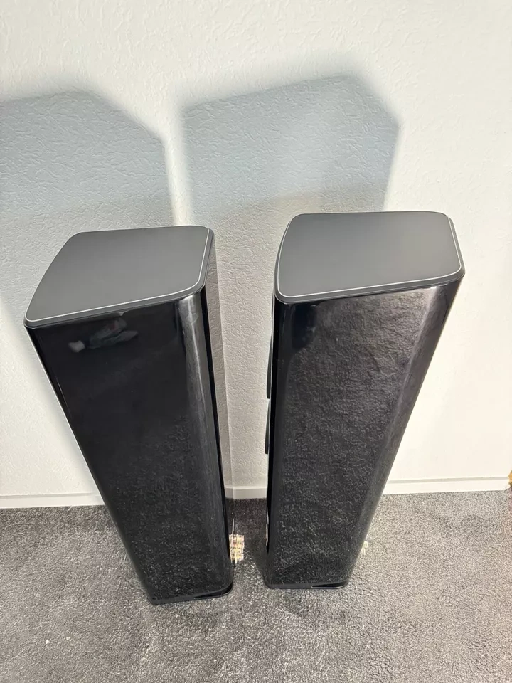 Elac Vela FS 408 ( Price : 1500 EUR ) - 3