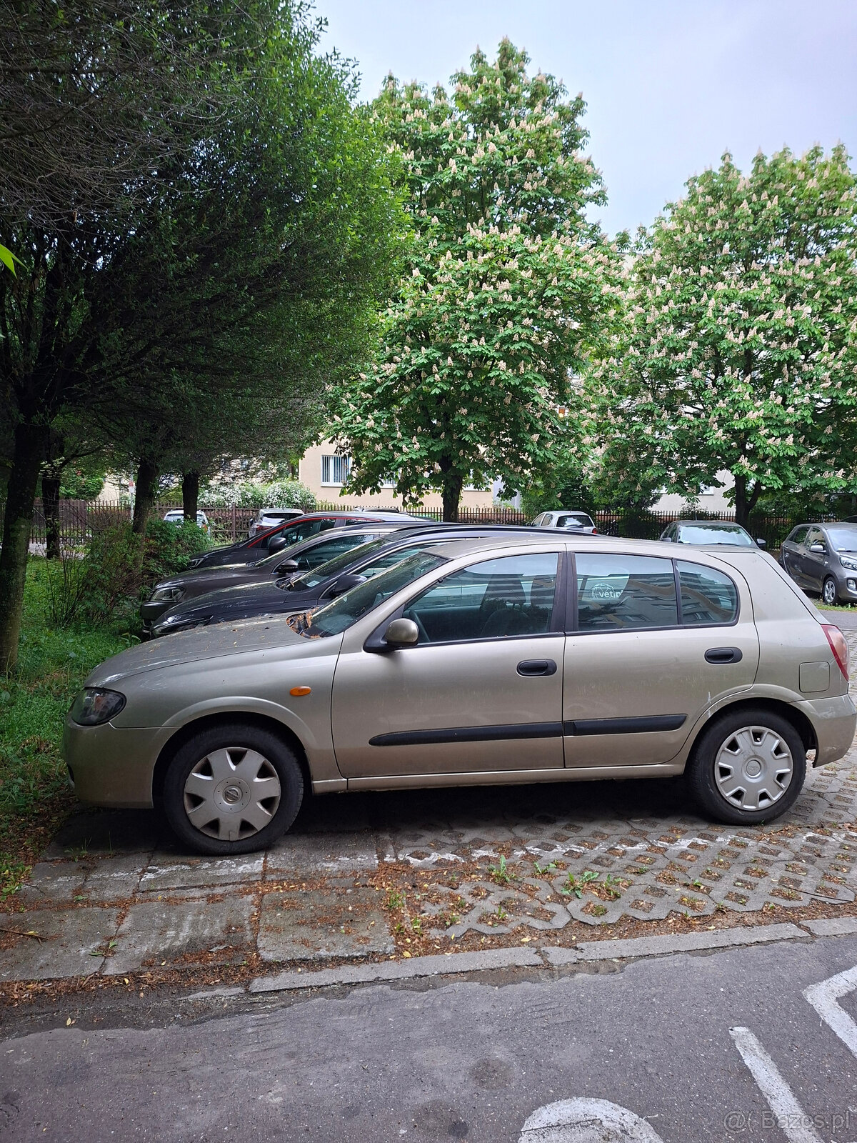 Nissan Almera 1,5 benzyna 2004 r. - 3