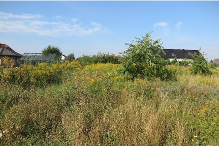 Działka budowlana w Gorzowie Wielkopolskim - 3