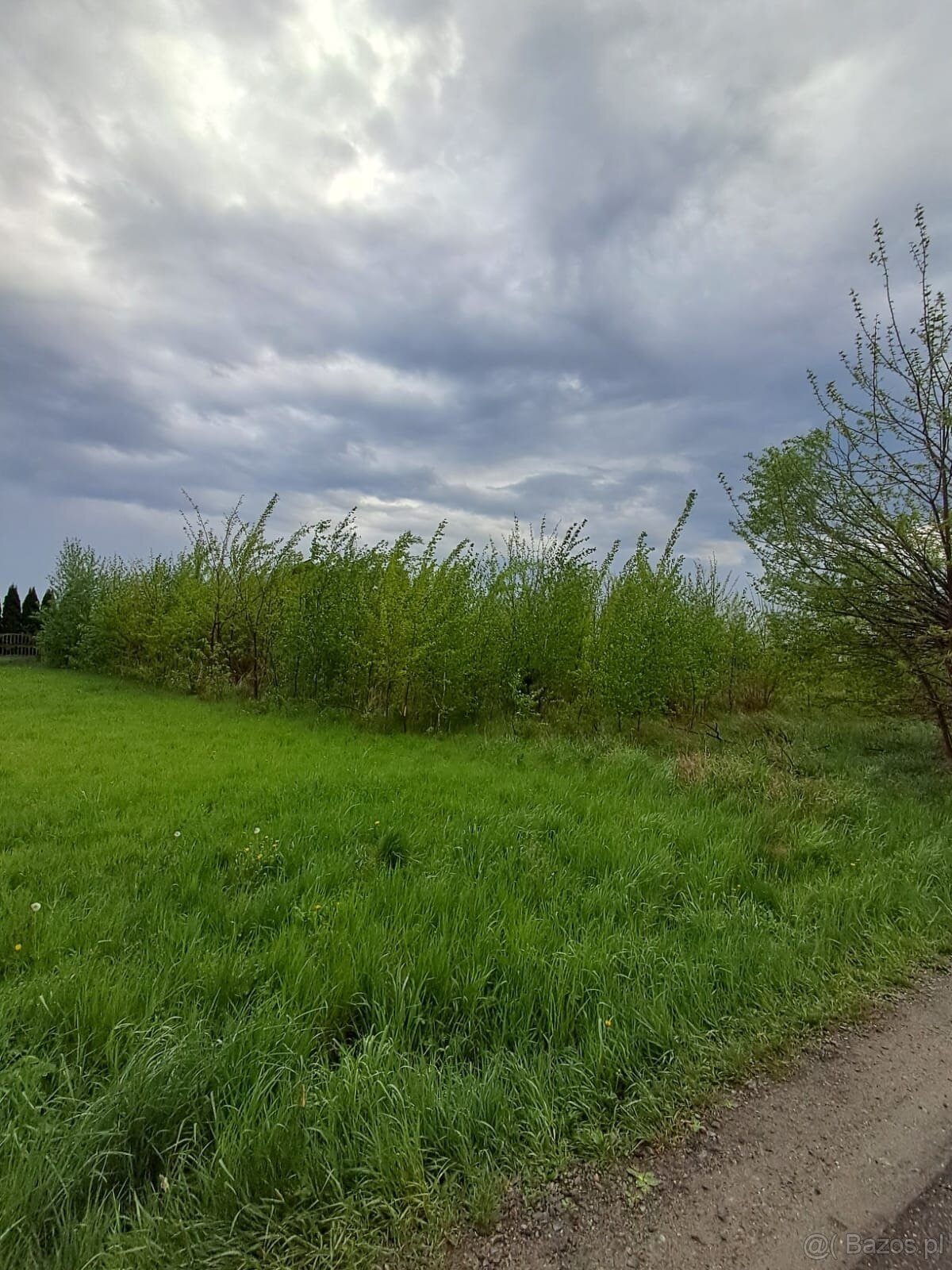 Działka rolna o pow. 1769 m2, Chełmce- gm. Opatówek - 3