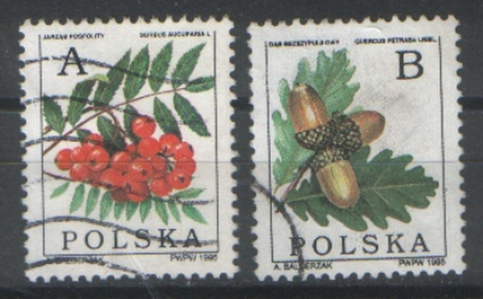 Zn. Fi 3371, 82, 3, 401, 2, 7 kas 1995 - 3