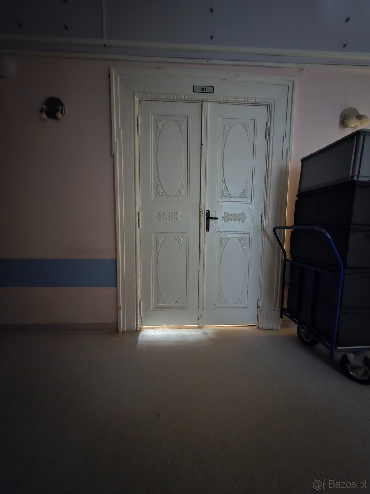 Antyczne drzwi drewniane dwuskrzydłowe z ościeżnicą – kamien - 3