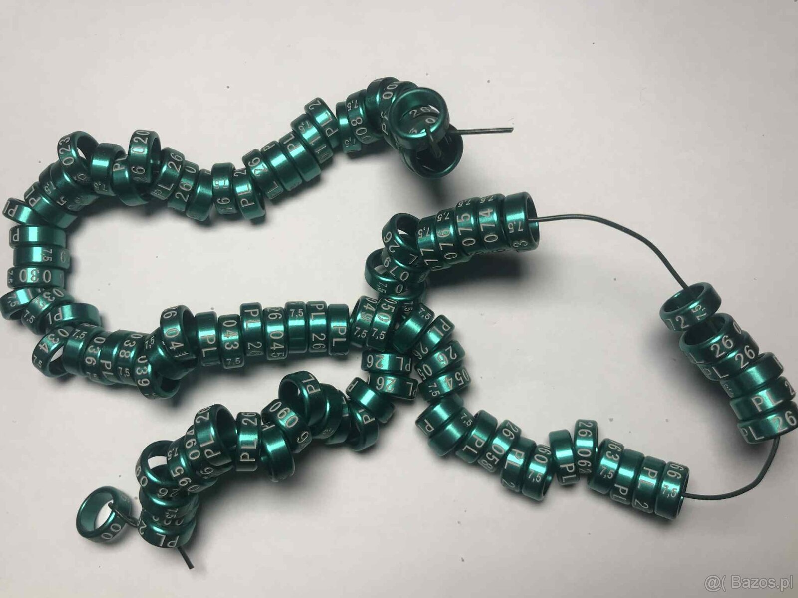 Obrączki na rok 2026 kolor zielony - 3