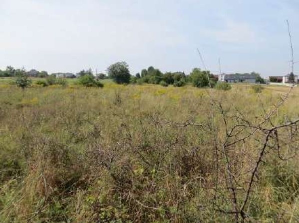 Syndyk sprzeda nieruchomość - 3