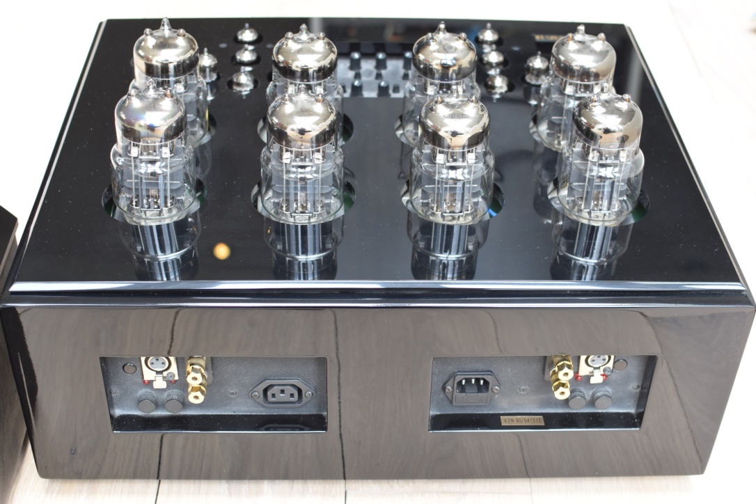 Joule Electra VZN-80 mkIV (Musicwood) - (Price: 2600 EUR) - 3