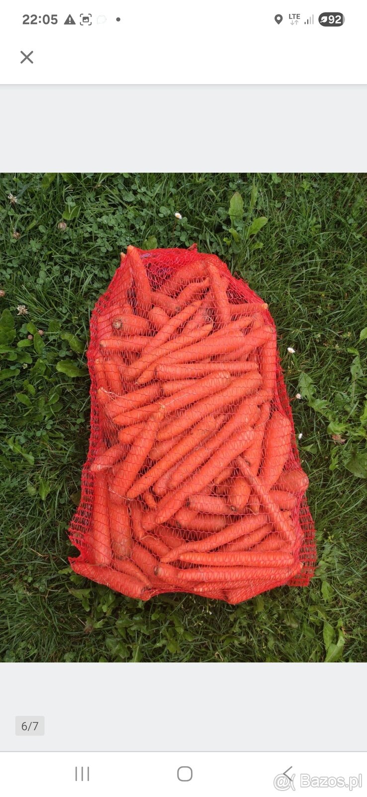 Warzywa i owoce wszystko - 3