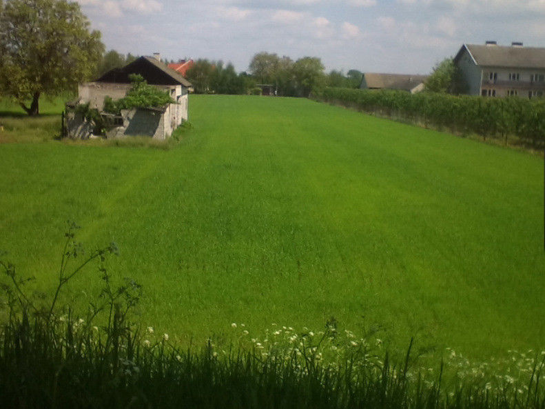 Działka rolno-budowlana - 3