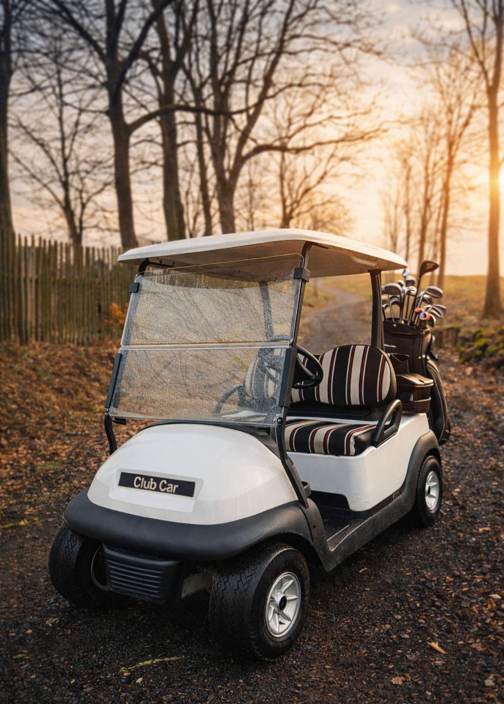 Elektryczny wózek golfowy - 3