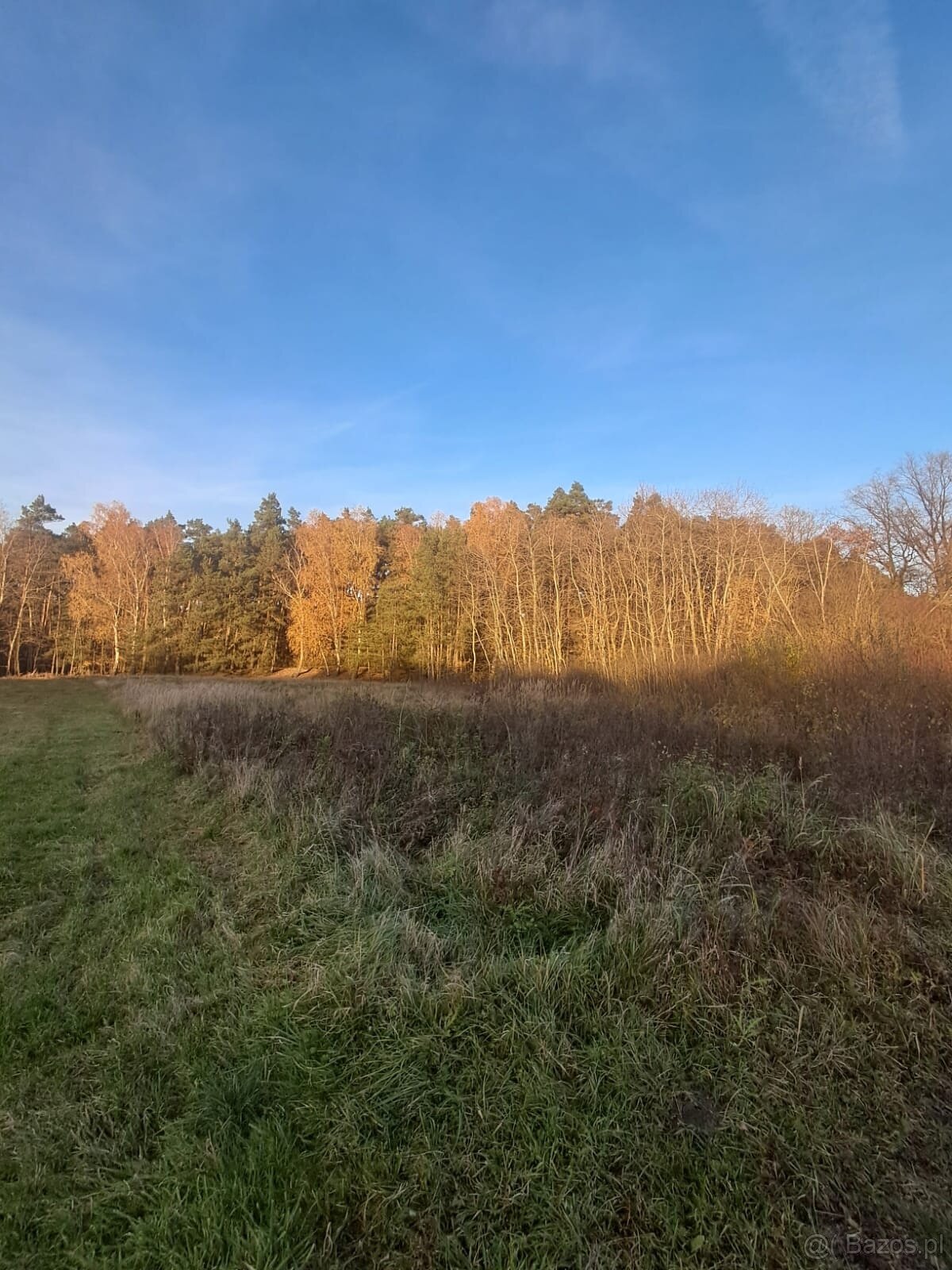 Działka budowlana z warunkami o pow. 1400m2, Dzierzbin - 3