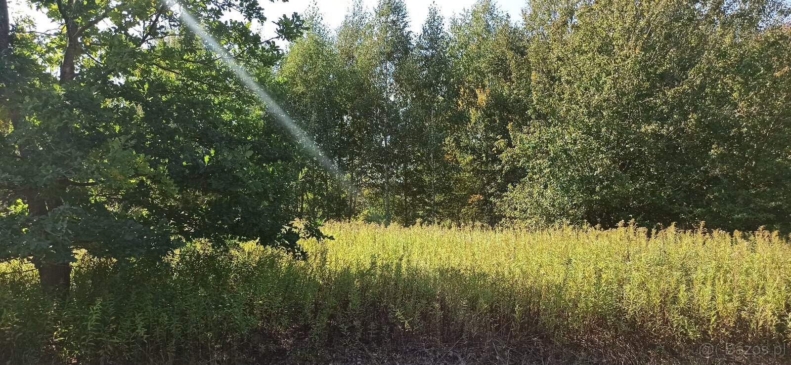 BEZPOŚREDNIO- Sprzedam Działkę 1500 m2 Majdan Wiązowna k/ Wa - 3
